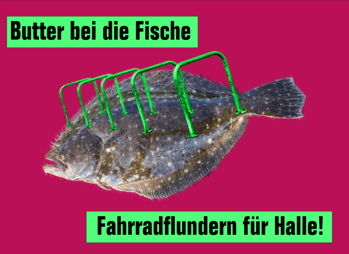 Read more about the article Die Gattung Fahrradflunder